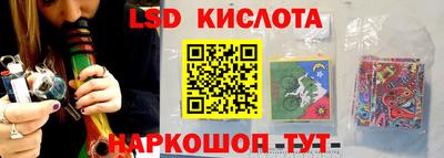 амф Кандалакша