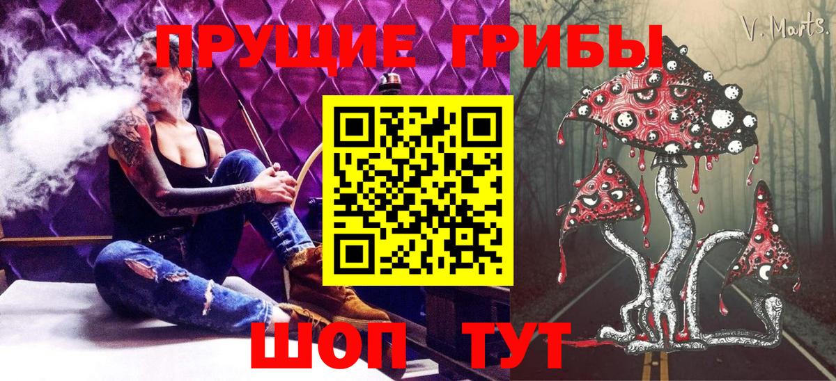 Псилоцибиновые грибы прущие грибы Кропоткин