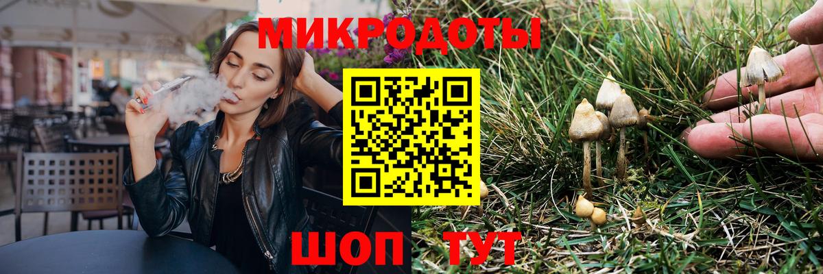 Псилоцибиновые грибы прущие грибы  Вход с VPN  Кропоткин 